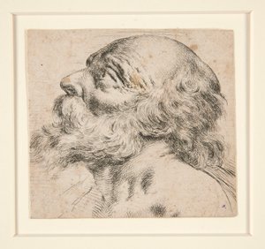Sans titre (homme barbu, regardant vers la droite) - Unknown