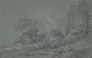 Scène boisée