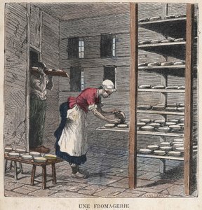 Une fromagerie. Illustration du 19ème siècle. Collection Bianchetti - Unknown artist