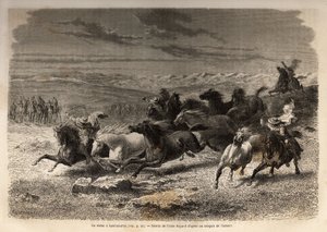Un rodéo à Lauramarca (Bas Pérou), la capture de chevaux sauvages, avant leur marquage au fer avec les initiales du propriétaire de la région, considéré comme un spectacle complet, de nombreux badauds rassemblés. Gravure pour illustrer le voyage dans les v