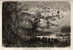 Abondance de gibier sur les rives du Zambèze. Gravure pour illustrer les premiers voyages du Dr Livingstone en Afrique australe de 1840 à 1856, dans "Le tour du monde, nouveau journal des voyages" publié sous la direction d