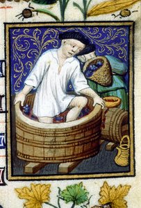 Représentation allégorique de septembre. Récolte, égrappage du raisin. Miniature d