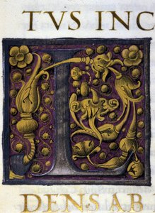 Alphabet : lettre L miniaturée - Unknown artist