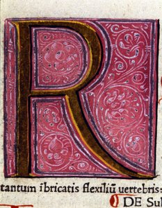 Alphabet : lettre miniaturée R - Unknown artist