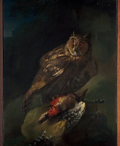 Un hibou avec sa proie