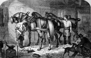 Artisan : le maréchal ferrant ferre les chevaux. Gravure du XIXe siècle