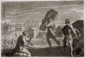 Bible de Royaumont, Ancien Testament : Ruth suit sa belle-mère Noémi au pays de Juda et glane les champs de blé de Booz. Illustration de 1811. - Unknown artist