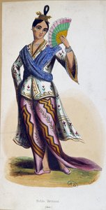 Noble birman