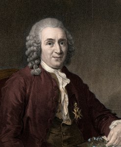 Carl Von Linné