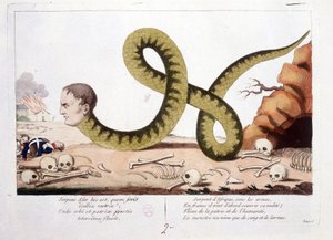 Caricature de Napoléon Ier représenté comme un serpent. Serpent d