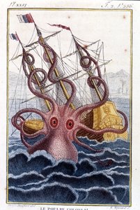 Poulpe colossal attaquant un navire - gravure du livre de Pierre Denys-Montfort « Histoire naturelle des mollusques », édition originale de 1802