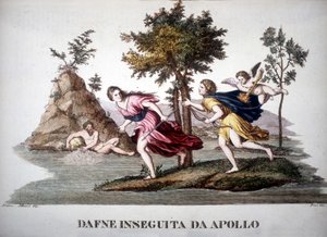 Daphné poursuivie par Apollon - dans Dizionario mitologico - Unknown artist