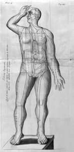 De Acupunctura par W.Ten Rhijne. Londres 1683. Premier texte occidental traitant de l