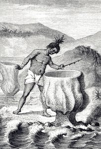 Gravure représentant une variété d