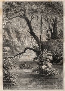 Expédition en Amérique (1799-1804) par Alexander von Humboldt (1769-1859) et Aimé Bonpland (1773-1858) : les explorateurs descendent l