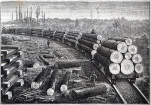 Exploitation des forêts des États-Unis. Chemins de fer temporaires avec voie en bois. Wagons transportant des troncs d
