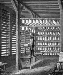 Étendre des feuilles de papier fabriquées pour former dans "Les merveilles de l