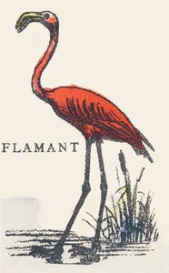F: flamant - Unknown artist