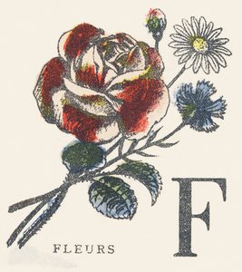 F: fleurs - Unknown artist