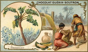 Tissu fabriqué avec la fibre de peaux de banane. Chromolithographie, emballage des chocolats Guérin Boutron. - Unknown artist