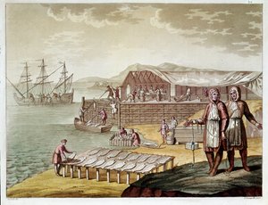 Pêche et séchage de la morue à Terre-Neuve