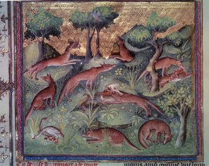 Chasse au renard. Miniature du manuscrit « Le livre de la chasse » (folio 34v) par Gaston Phébus (1331-1391) dit Gaston III Comte de Foix