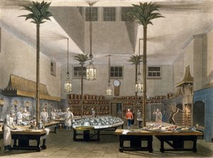 Grand Hôtel : les cuisines du Great Pavillon Hotel à Brighton. 1850