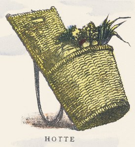H: capuche