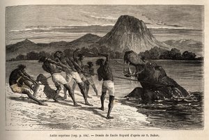 Chasse à l