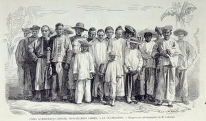 Histoire des colonies françaises : immigrants chinois travaillant en Guadeloupe. Dessin d