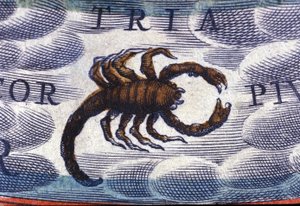 Horoscope : signe du zodiaque, le Scorpion