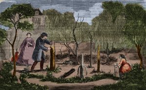Horticulture : principales méthodes de transplantation des plantes. Gravure de 1860. - Unknown artist