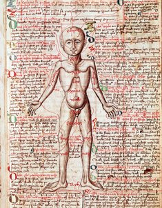 Corps humain (gravure du « Tractatus de pestilentia »)
