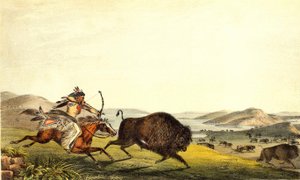 Chasse au bison en Amérique du Nord. XIXe siècle. - Unknown artist