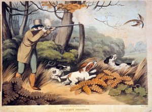 Chasse aux faisans en Angleterre