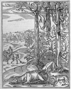 Chasse au loup : la vigie. Fac-similé d