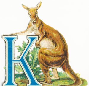 K : Kangourou - Unknown artist
