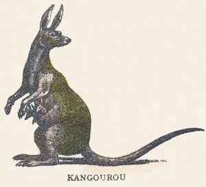 K: kangourou - Unknown artist