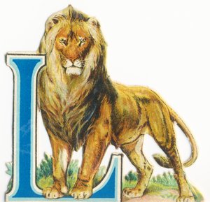 L : Lion
