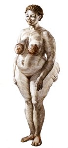 La Vénus Hottentote, femme de la race Bochiman, gravure de 1815. - Unknown artist