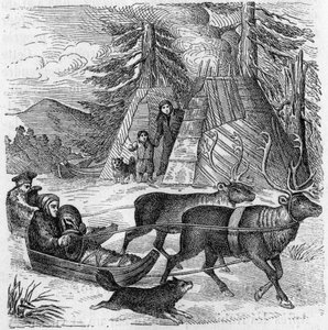 Lapons et leurs traîneaux.