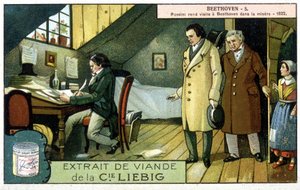 Chromolithographie Liebig