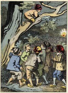 Le Petit Poucet grimpe sur un arbre et cherche son chemin. Il ramasse une lumière dans la forêt. Illustration du conte de Charles Perrault "Le Petit Poucet"