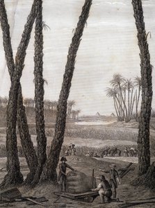 Memphis, vue des ruines (scientifiques et artistes au travail) - dans « Description de l