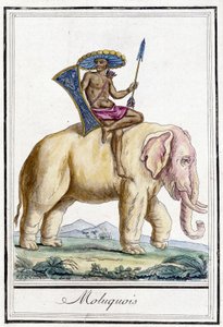 Homme moluquois sur un éléphant (Îles Moluques, Indonésie). - Unknown artist