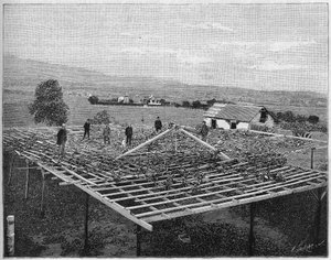 Vignoble de Montecito en Californie en 1888. Dans "Nature" de 1888.