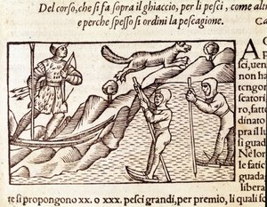 Chasseurs norvégiens se déplaçant à skis. Gravure d