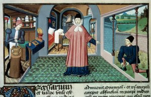 Pharmacie : un apothicaire, la cueillette des plantes et la préparation des médicaments - Unknown artist