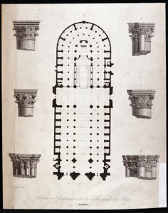 Plan et chapiteaux de la cathédrale Notre-Dame de Paris. 19ème siècle - Unknown artist
