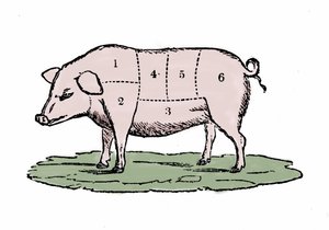 Découpes de porc